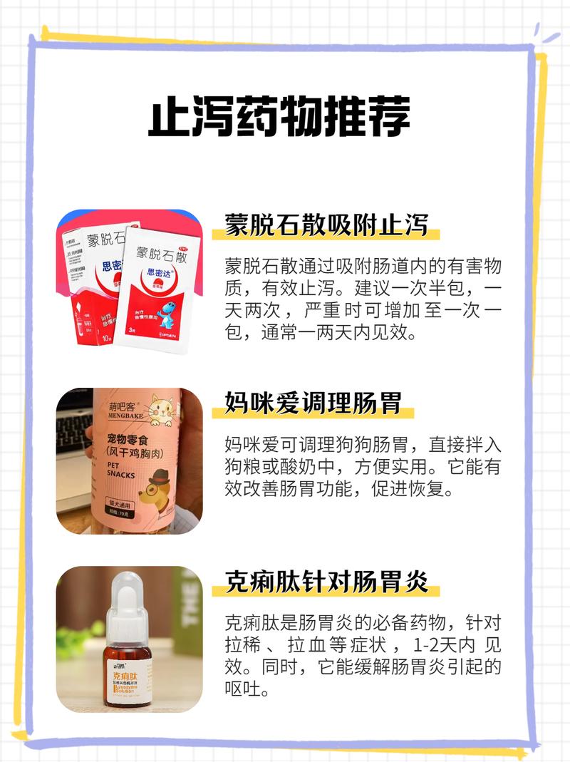 狗狗拉肚子吃什么药最有效