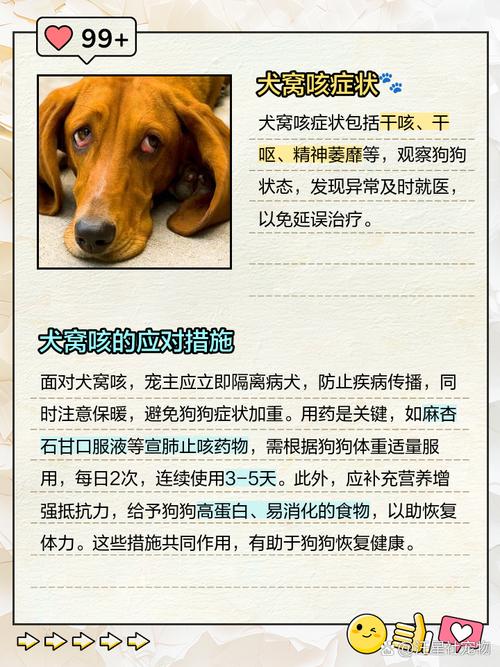 狗狗咔咔的咳嗽吐白沫