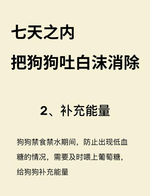 狗狗吐白沫不吃东西没精神怎么办