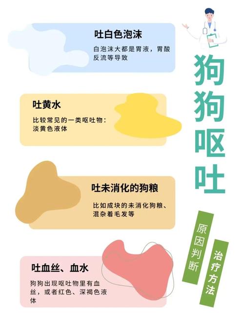 狗狗口吐白沫需要注意什么