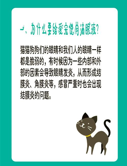 求助给猫咪滴眼药水的方法