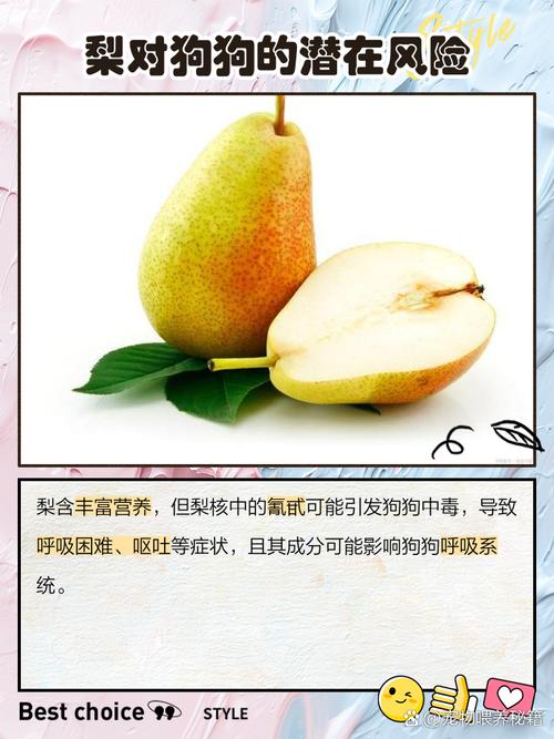 狗为什么不能吃梨