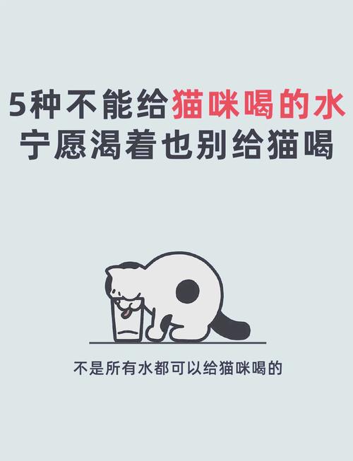 猫咪喝自来水有害吗