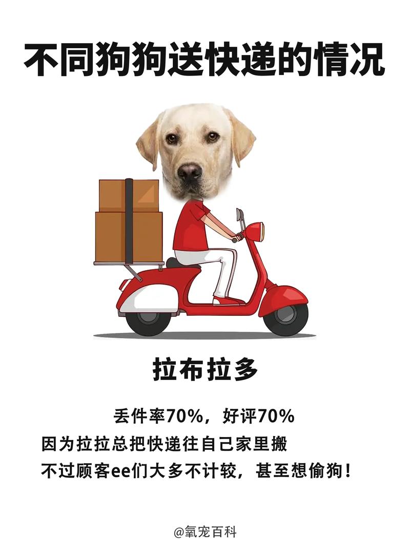 狗狗可以快递运回家吗