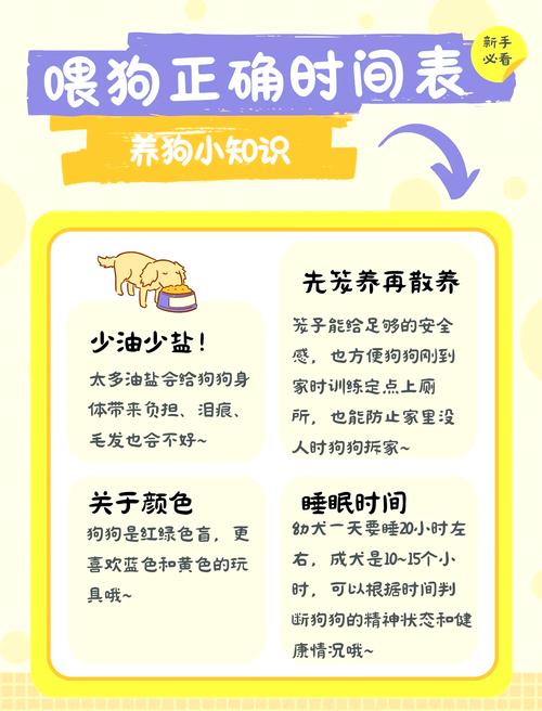 幼犬一般几天认主人到家第一天能不能喂