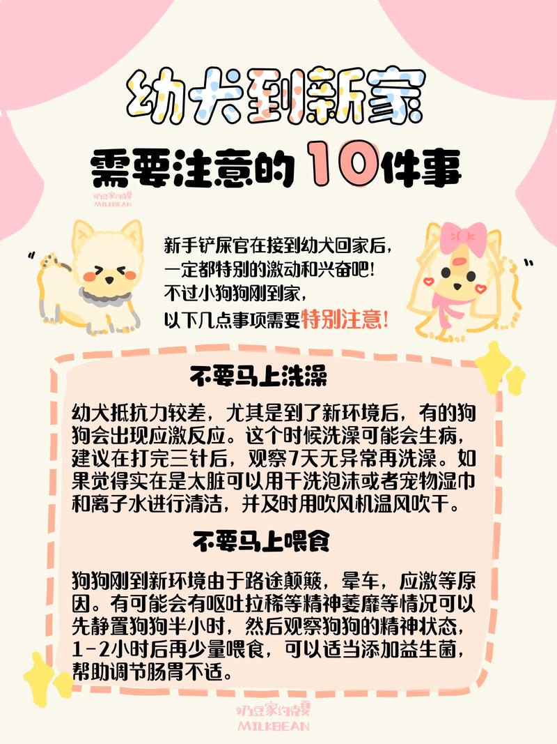 狗狗一般多久适应新家