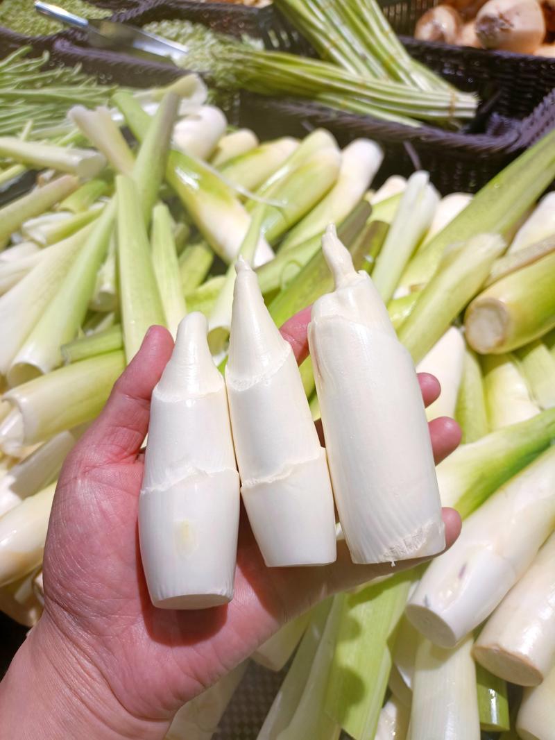 狗可不可以吃茭白