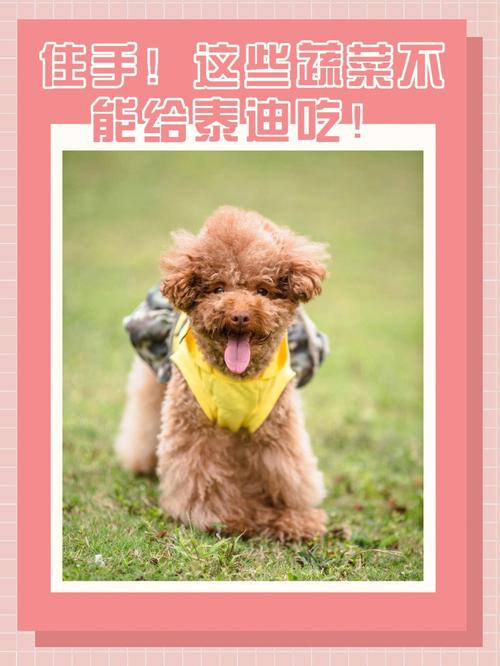 怎样给狗催奶?急急!!