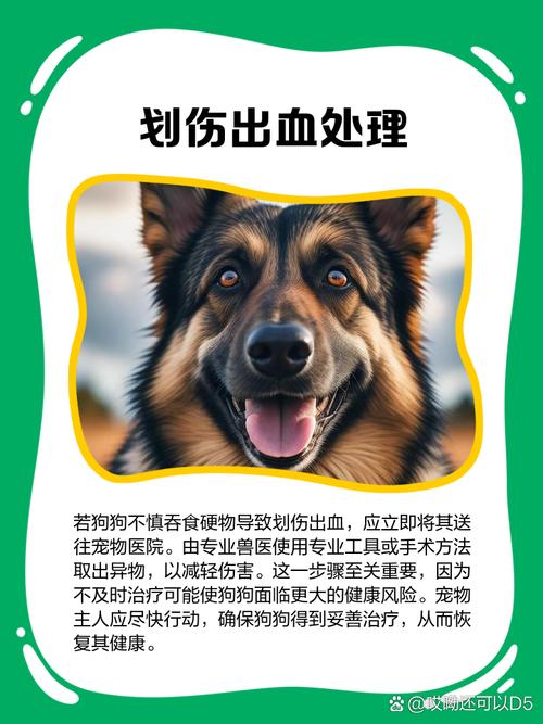 狗狗舌头剪出血了怎么办?