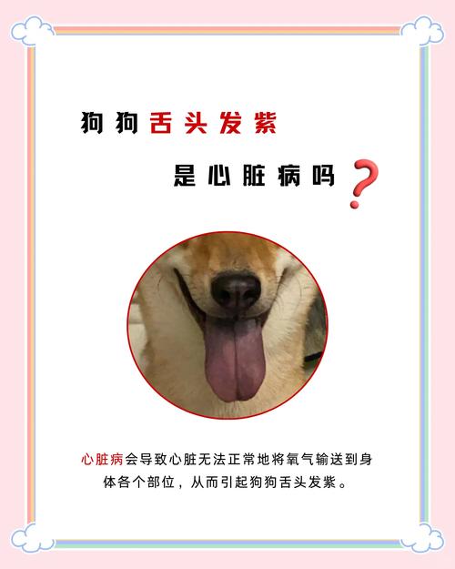 狗狗为什么咬到舌头会有血