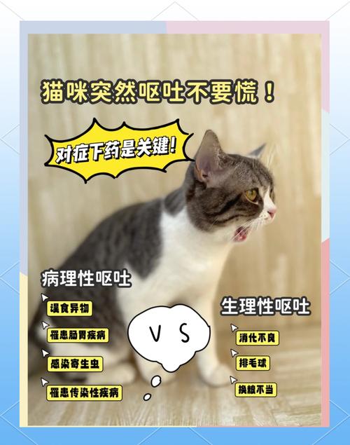 猫呕吐不吃饭是什么原因啊?