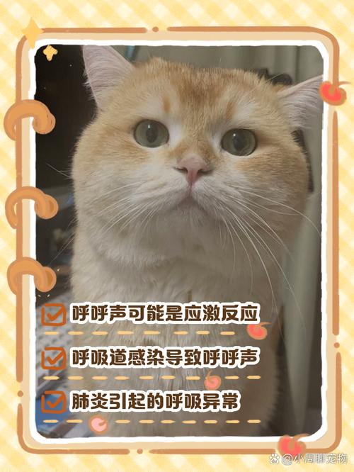 猫呼吸有不通气的声音怎么回事