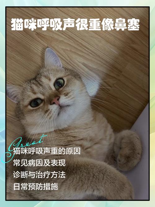 猫呼吸声很重好像鼻塞