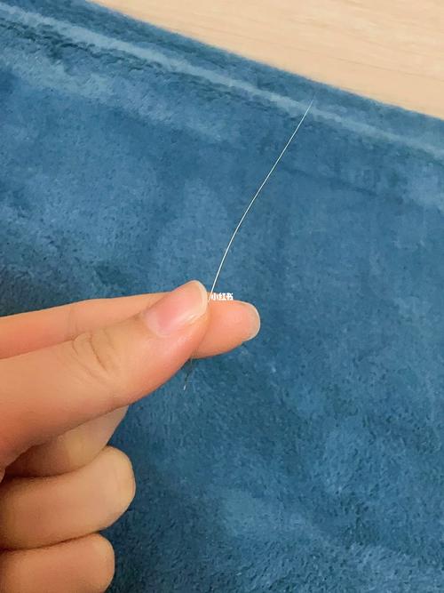 猫咪掉了一根胡子什么寓意正常吗