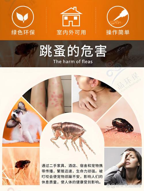 呋虫胺杀跳蚤有效果吗