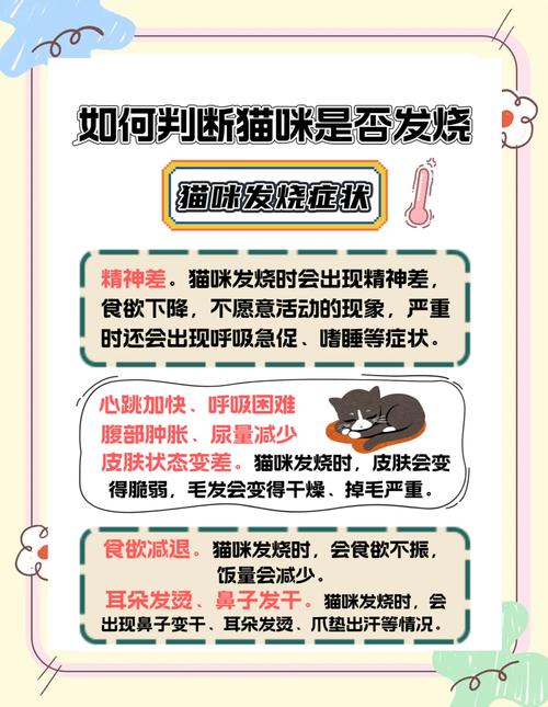 猫发烧体温是超过多少?猫发烧有什么症状?