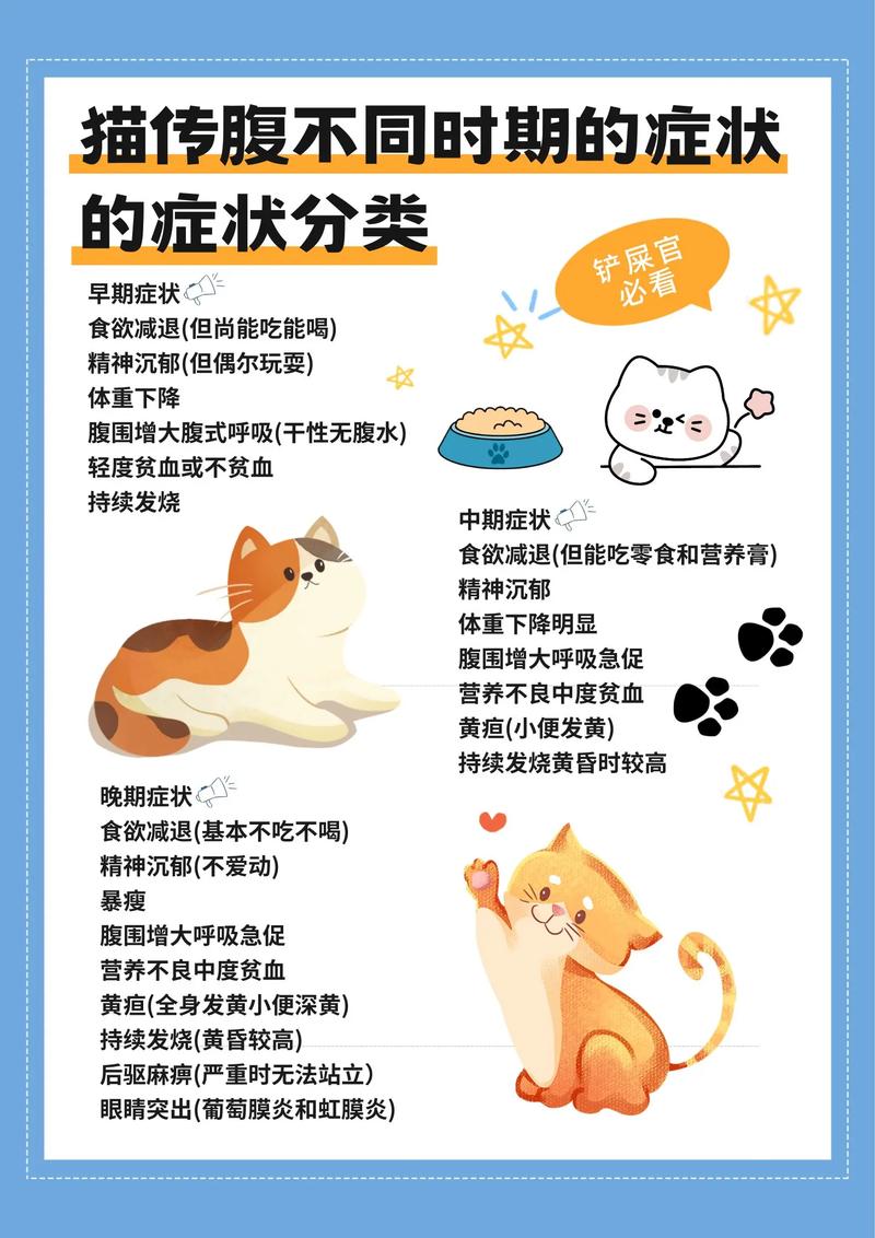 猫咪消化不良的症状表现有哪些