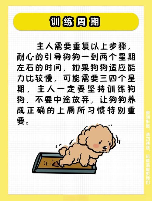 怎么训狗狗定点大小便