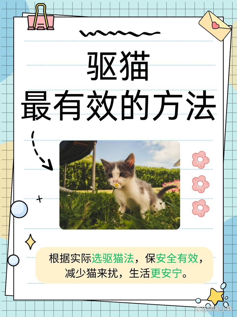 如何驱赶猫猫讨厌的味道?