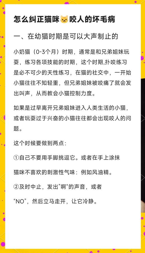 怎样纠正猫咪咬手的习惯?