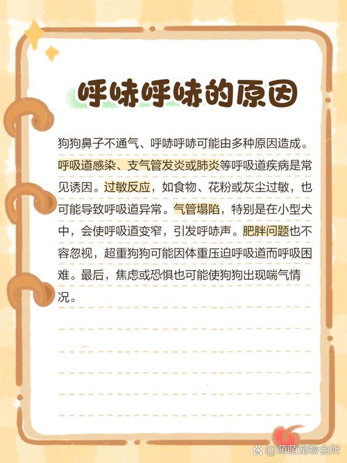 狗狗鼻子堵了不通气怎么办?
