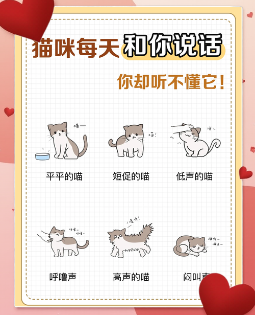 母猫叫声唤小猫的声音