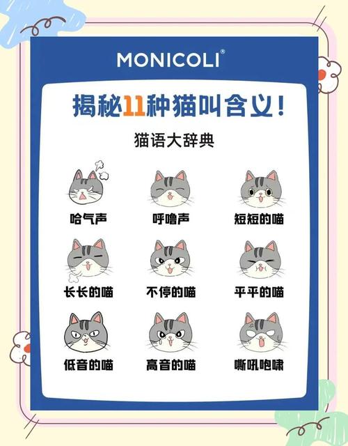 猫为什么一直发出咕噜咕噜的声音
