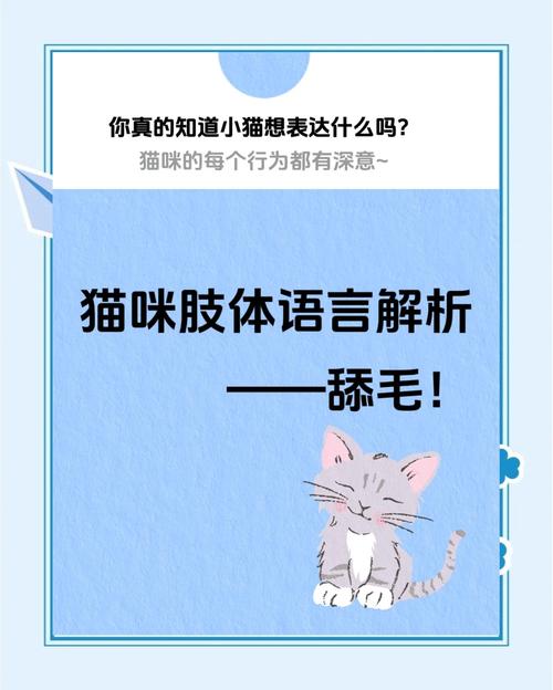 猫咪舔自己的毛代表什么