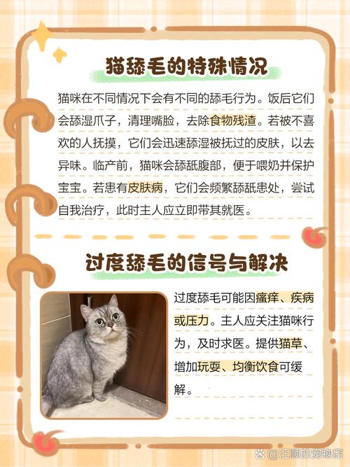 好端端的猫咪,为何有时候会把自己的毛舔秃?