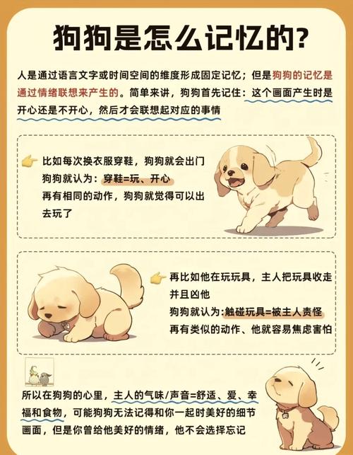 狗狗换主人会忘掉原主吗?
