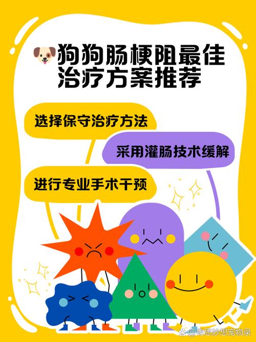 狗狗肠道堵塞怎么办?