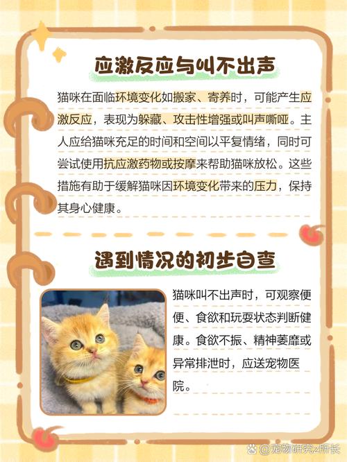 猫咪突然嗓子哑了,叫不出声了怎么回事