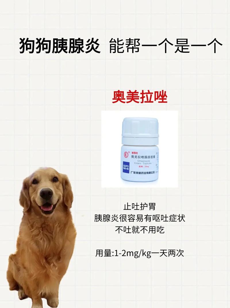 10斤狗狗吃一颗阿莫西林会中毒吗