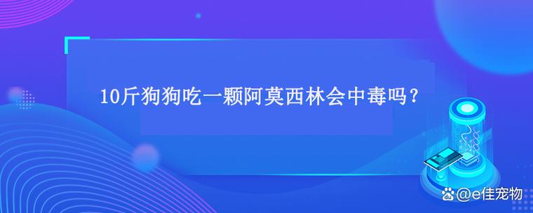 狗狗拉肚子吃阿莫西林可以吗
