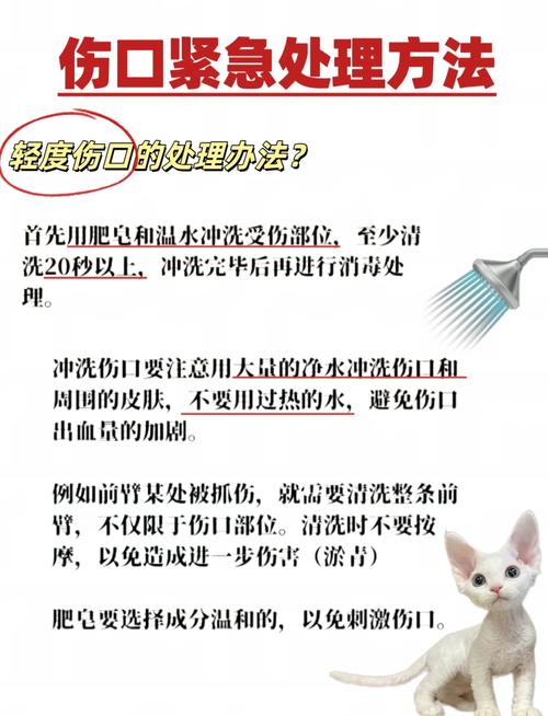 被宠物猫抓伤怎么办