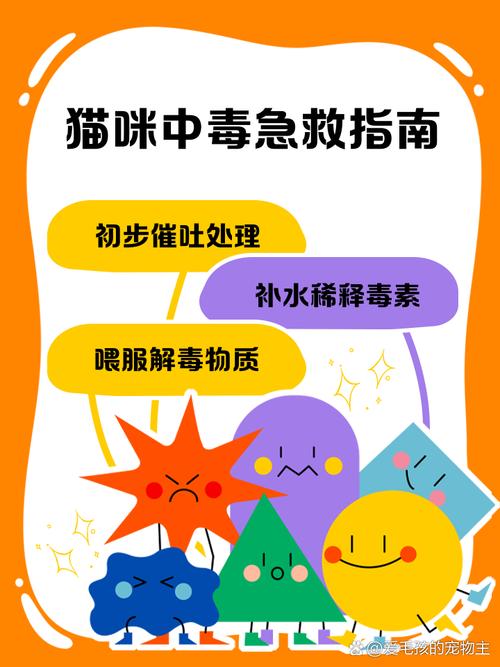 猫中毒3天了,什么都不吃,只喝一点水,怎么才能让它吃?