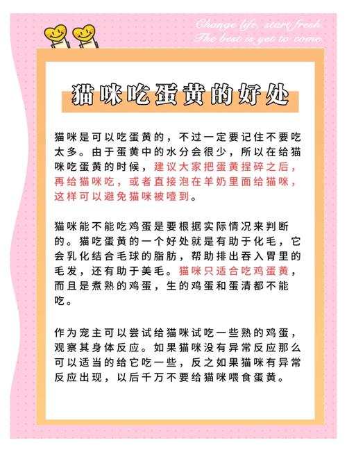 一个多月大的猫能吃蛋黄吗?