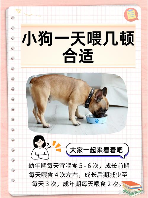 半个月大的狗狗每天喂几次