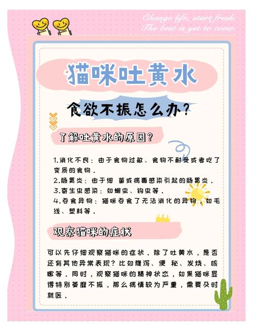 猫吐黄水怎么办