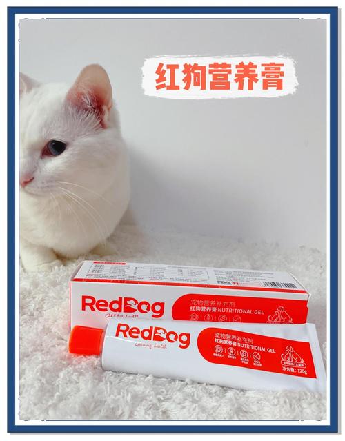 狗狗鼻子发红是什么情况