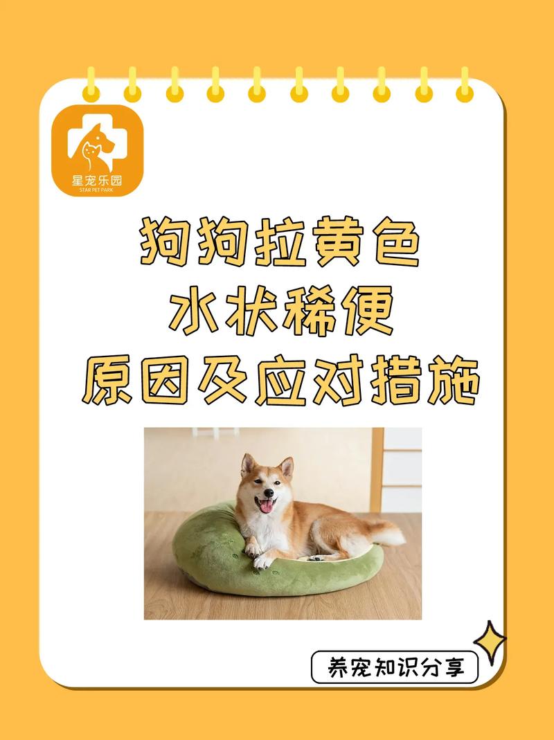 狗狗拉粑粑成型但是有水是怎么回事