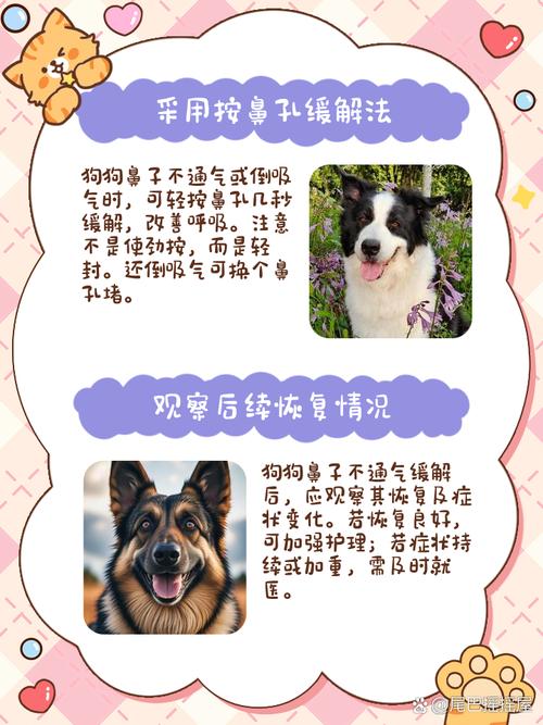 狗狗鼻子堵了不通气怎么办?