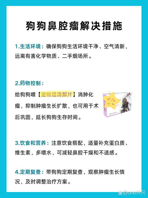 狗狗鼻子堵住了怎么办