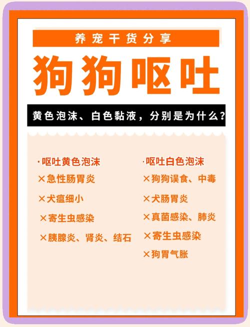 狗狗咳嗽呕吐白色粘液吃什么药见效快