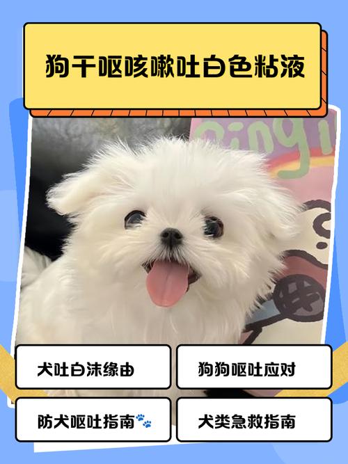 狗狗咳嗽呕吐是怎么回事吃什么药