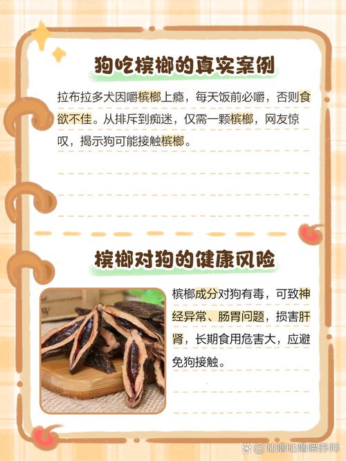 狗狗老喜欢嚼槟榔是为什么啊?