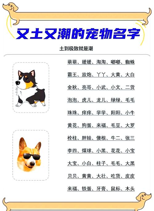 又贱又逗比的宠物名字