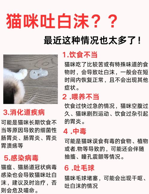 猫咪口吐白沫的原因和治疗措施