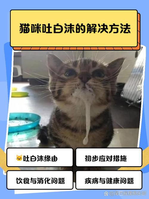 猫吐白沫会自愈吗为什么呢