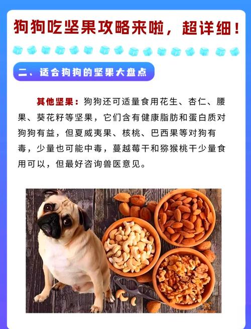 狗狗可以吃花生吗?
